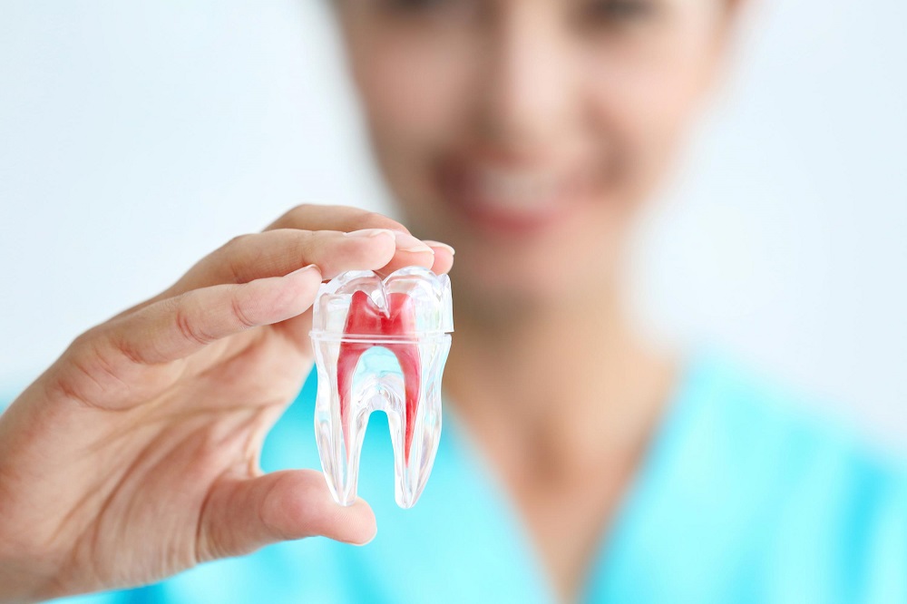 تخصص های دندانپرشکی - متخصص درمان ریشه دندان