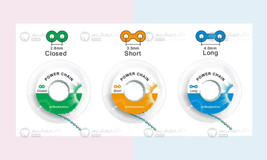 عکس انواع پاورچین