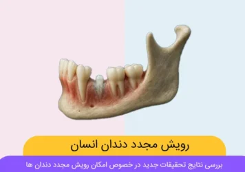 رویش مجدد دندان انسان شاخص